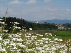Eging am See
